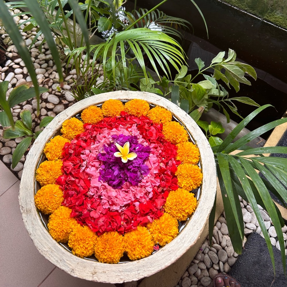 Meet your Posher, Barbie